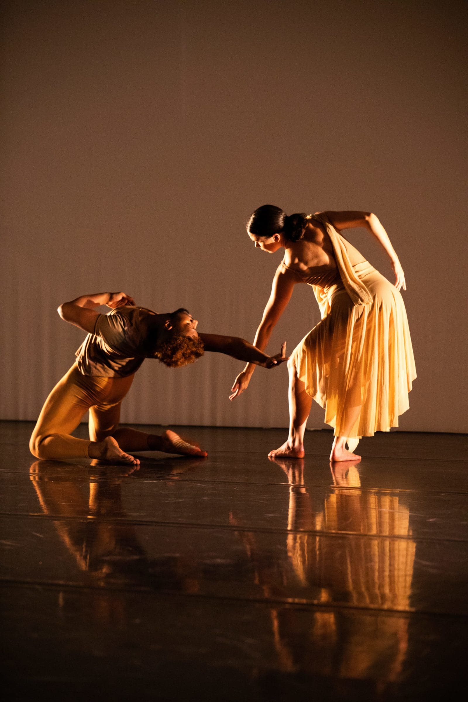 Dance Collection