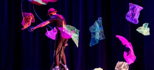 meSSeS: Solo circuS